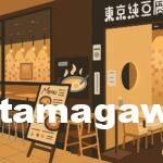 東京純豆腐 二子玉川店